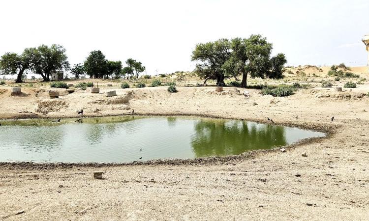 प्रदूषित पानी पीने को मजबूर