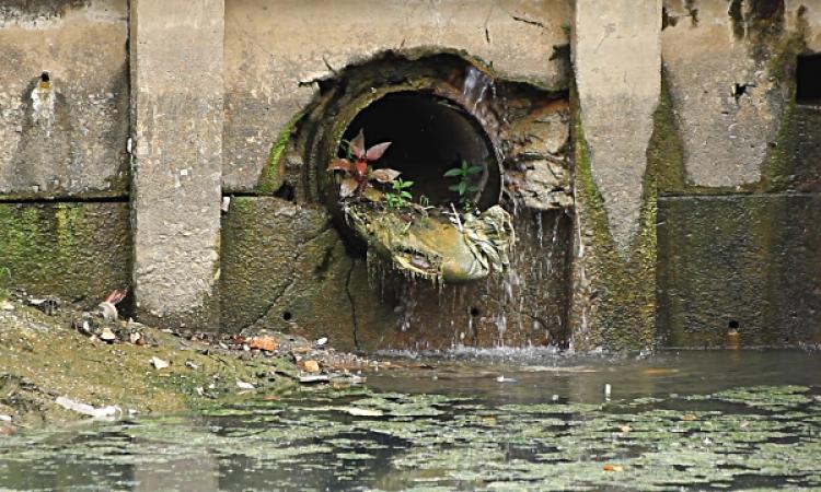 Domestic sewage is one of the important pollutants of river Danro. Image for representation purposes only. (Image Source: Sangram Jadhav via Wikimedia Commons)