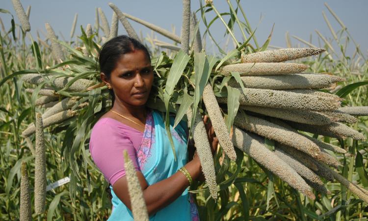 Building the resilience of women farmers (Image: ICRISAT, Flcikr Commons)