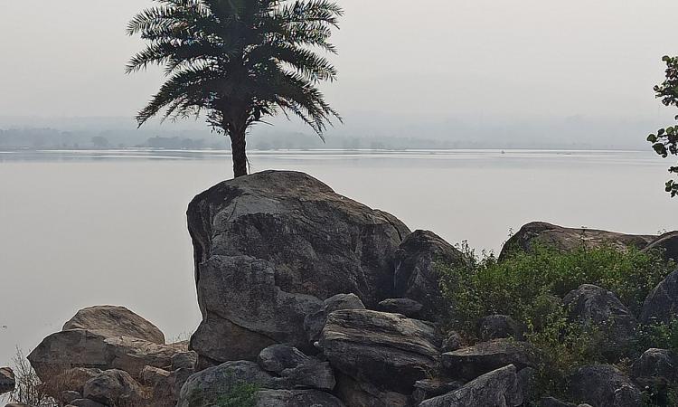 The Nagi dam bird sanctuary (Image Source: Hilfiger28 via Wikimedia Commons)