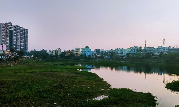 Puthenhalli lake, Bengaluru (Image Source: SlowPhoton via Wikimedia Commons)