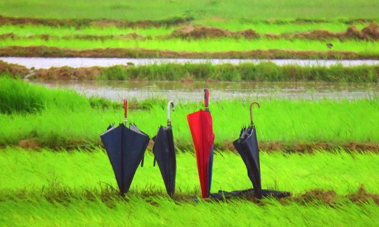 More action is needed to ensure a sustainable water future for India (Image: Wasim Raja, Wikimedia Commons; CC BY 2.0)