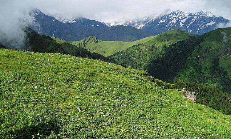 औली बुग्याल, उत्तराखंड में एक घास का मैदान। (फोटो सौजन्य: विकिमीडिया कॉमन्स, फोटो - संदीप बराड़ जाट)