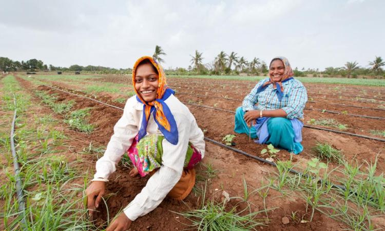 भारत में खेत में काम करने वाली महिलाएँ (छवि: IWMI फ़्लिकर/हैमिश जॉन एप्पलबी; CC BY-NC-ND 2.0 DEED)