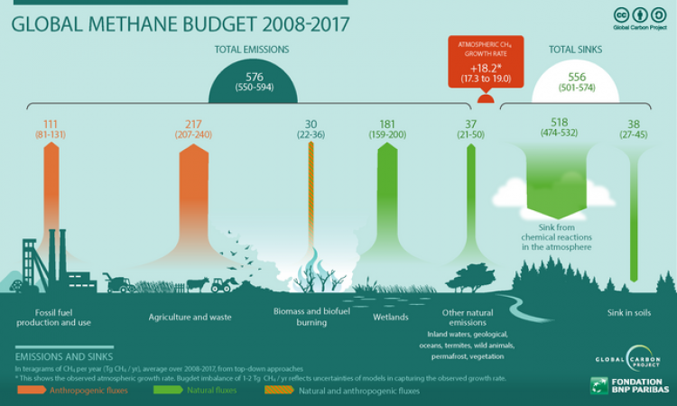 2008 से 2017 की अवधि में मीथेन उत्सर्जन के मुख्य स्रोत (वैश्विक कार्बन परियोजना द्वारा अनुमानित) फोटो - विकिपीडिया