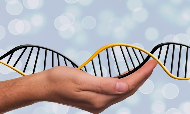 The transition to a bio-based economy could affect various stakeholders (Image: GetArchive; CC0 1.0)
