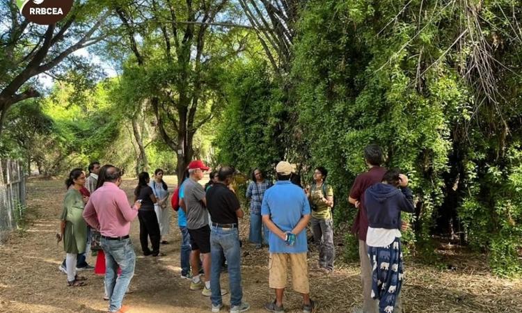 SeasonWatch tree walk at Rupa Rahul Bajaj Centre for Environment and Art (Image: SeasonWatch)