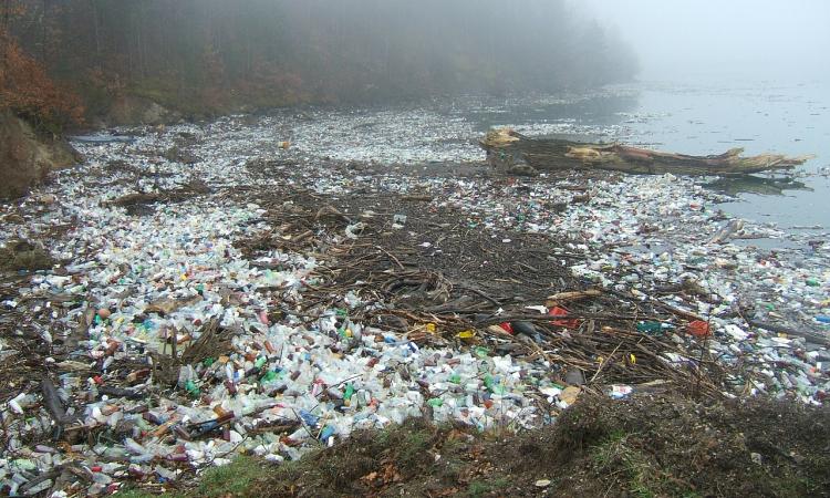 माइक्रोप्लास्टिक प्रदूषण (courtesy - needpix.com)