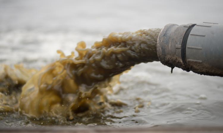 New measures to expedite pollution complaints (Image: Rawpixel; CC0)