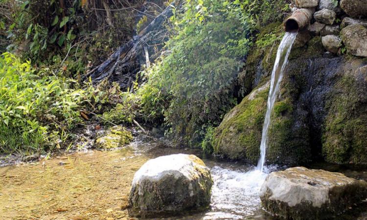 नौले-धारे हिमालयी क्षेत्र में मुख्य जलस्रोत