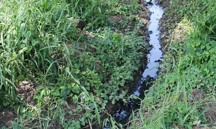 Greywater from kitchen and toilets (Image Source: IWP flickr photos)