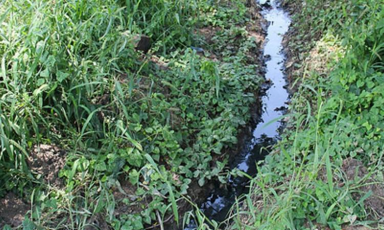 Greywater from kitchen and toilets (Image Source: IWP flickr photos)