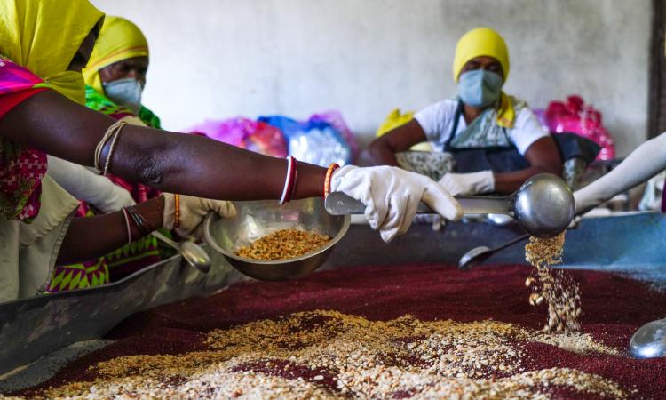 Mixing of ingredients for preparation of ragi mix by women self-help group members (Image: WASSAN) 