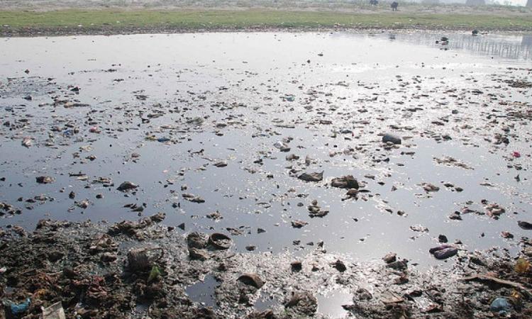 The polluted Yamuna at Agra (Image Source: India Water Portal)