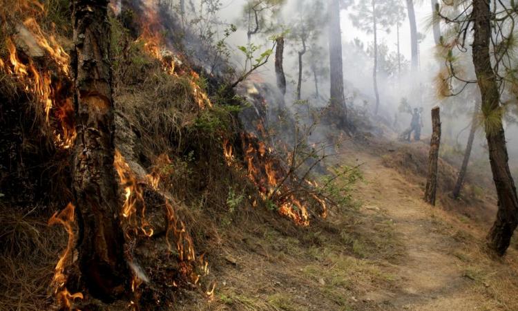 उत्तराखंड के जंगलों में आग