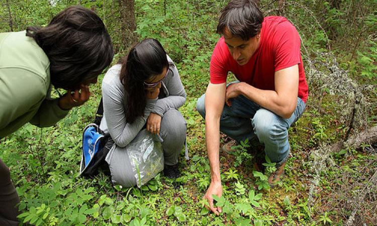 पर्यावरण विज्ञान में सम्भावनाएँ