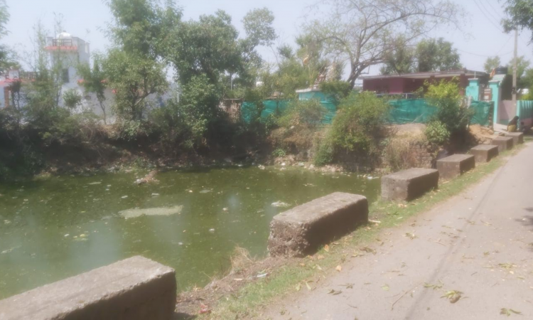 पर्यावरण संरक्षण से पहले जागरूकता ज़रूरी है,फोटो - भारती डोगरा