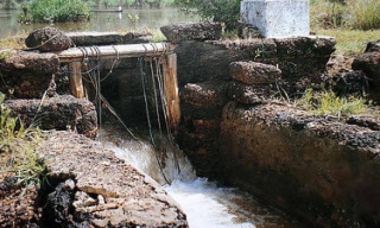 वर्षाजल से मछलीपालन किया जाता है