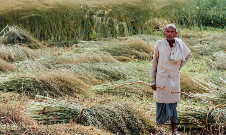 यूपी के किसानों को मिलेगी मुफ्त सिंचाई सुविधा,फोटो- flickerIndiawaterportal