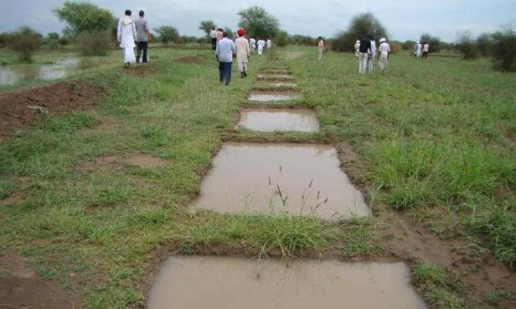 लापोड़िया गांव की चौका विधि