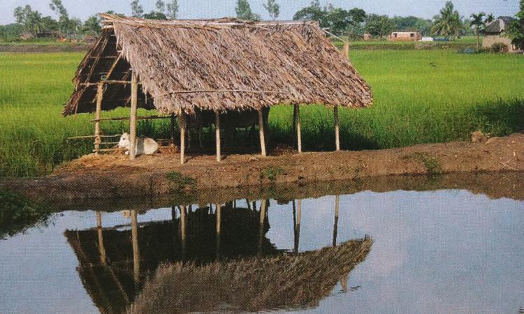 ग्रामीण कृषि अर्थव्यवस्था