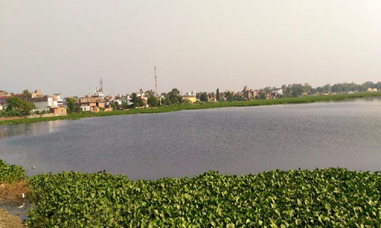 चम्पारण के बीचोंबीच स्थित मोती झील, मनों की शृंखला का एक हिस्सा जो बाढ़ के दिनों में पानी के जलग्रहण का काम करती है