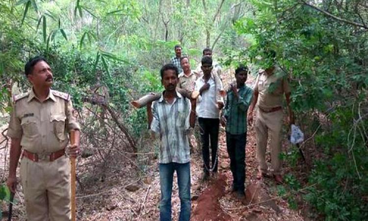 बंगलुरु में चंदन की लकड़ी काटने के आरोप में गिरफ्तार युवकों को ले जाती पुलिस