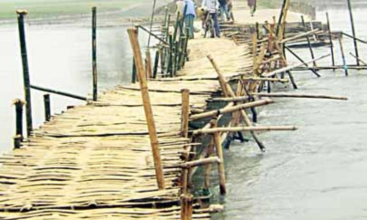 Bamboo bridge