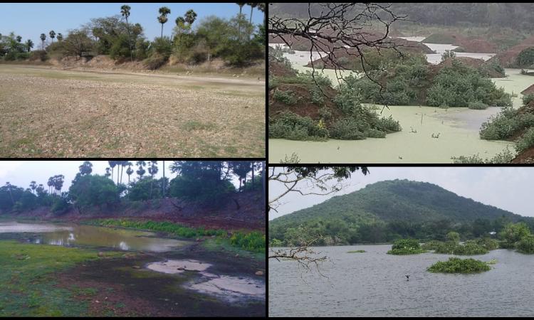 आईएफएस सुधा रमन के प्रयासों से पुनर्जीवित हुई सूखी झील