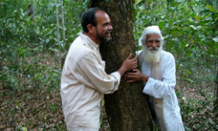 Chipko movement