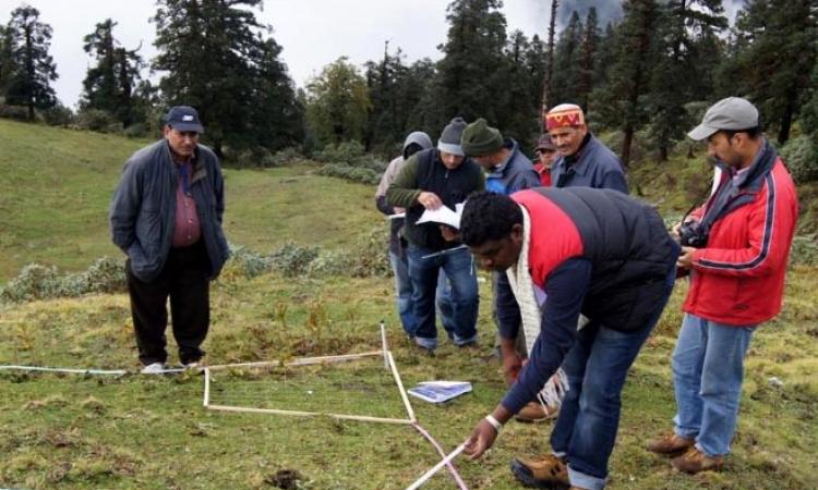 स्थायी निगरानी प्लॉट स्थापित करते हुए शोधकर्ताओं की टीम