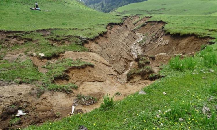 आईएफएस संदीप के प्रयासों से लौटी बुग्याल की खूबसूरती