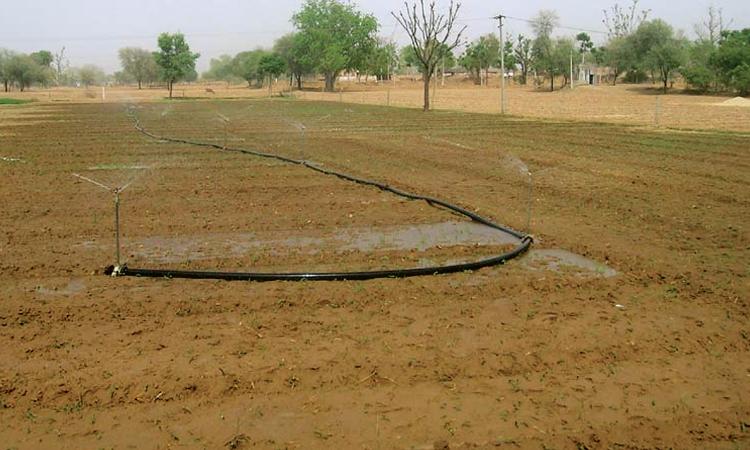 Drip irrigation