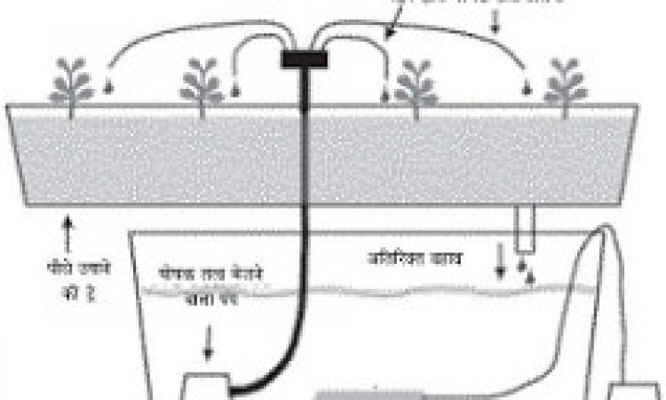 Drip irrigation