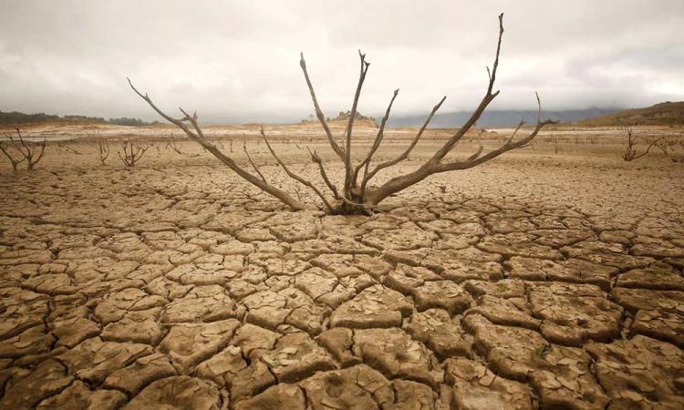 जलवायु परिवर्तन के साथ भारत में विकराल होती संभावित सूखे की समस्या