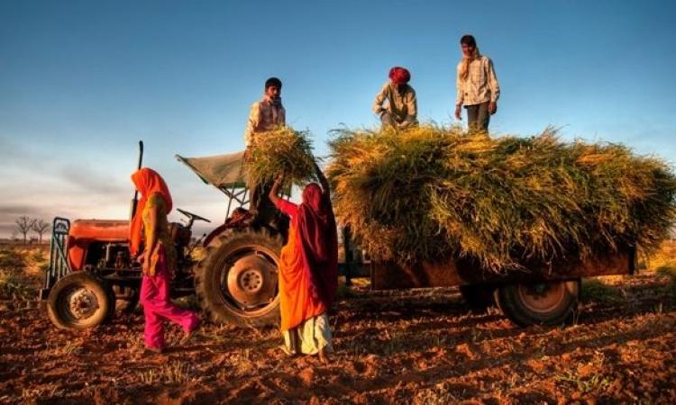 कृषि सम्बन्धी सुधारों के लिए रोडमैप।