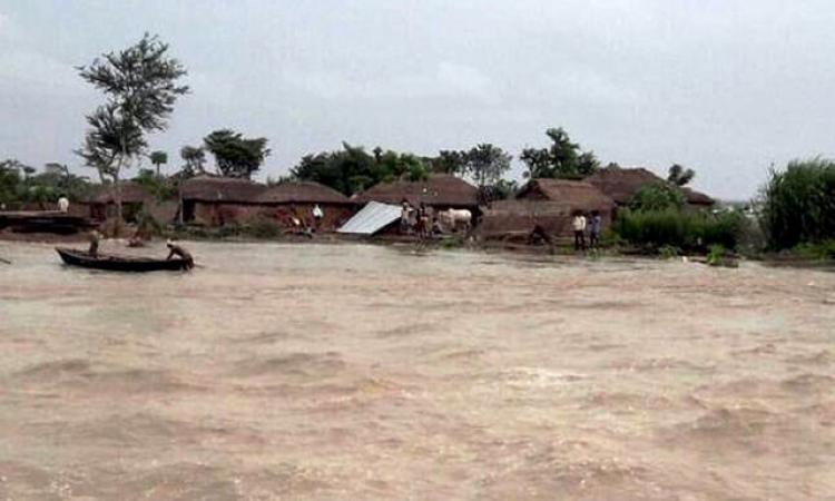 Flood Bihar