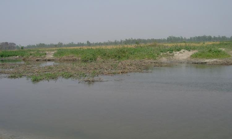 Gomti river