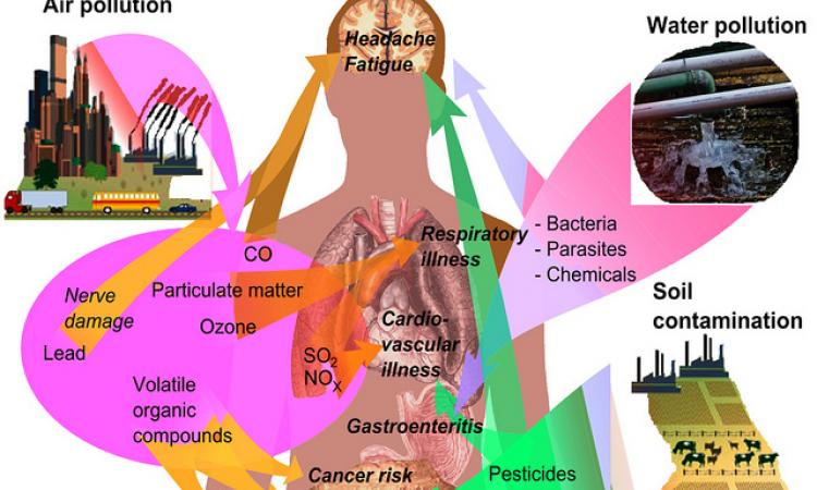 Health effects of pollution