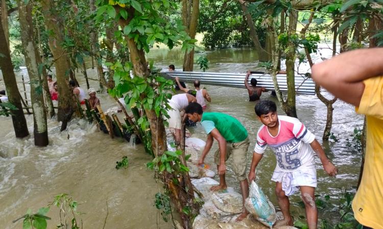 दरभंगा में टूटे तटबंध की मरम्मत में जुटे स्थानीय लोग