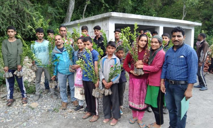 पर्यावरण संरक्षण, खुशहाली और समृद्धि का प्रतीक है हरेला