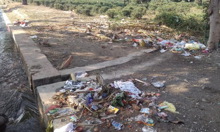 पानी में ऊष्मीय प्रदूषण प्रबंधन हेतु गणितीय प्रतिमानों का महत्व