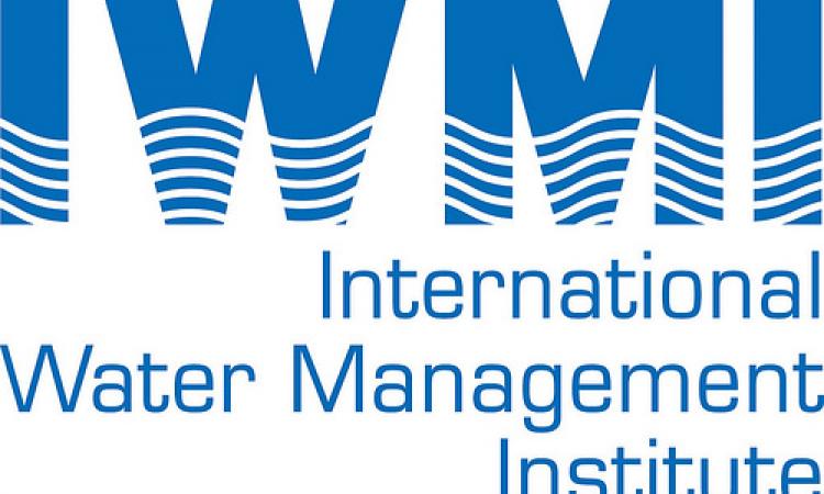 IWMI