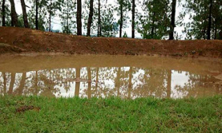 Nag village pond