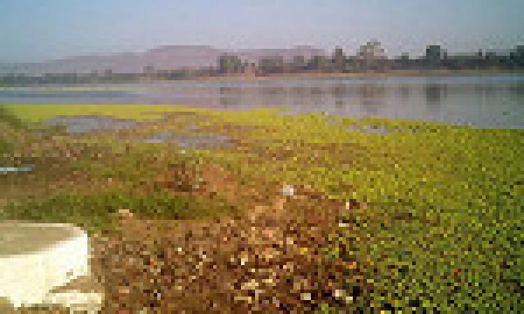Narmada Nadi