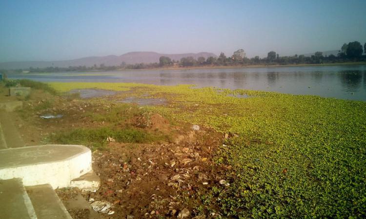 Narmada river