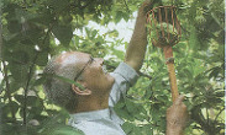 Natural farming