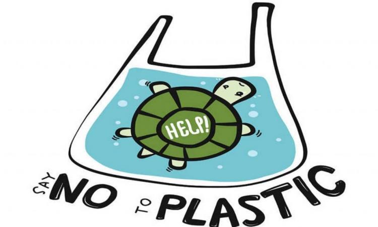 सिंगल यूज प्लास्टिक मुक्त भारत