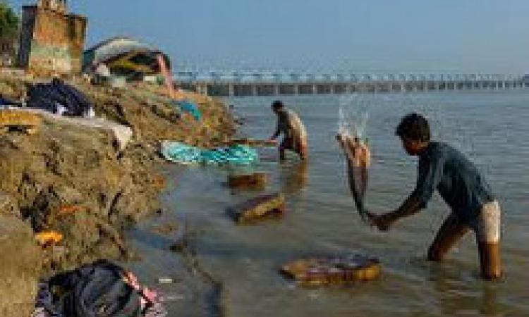 Polluted Ganga