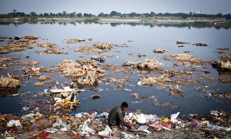 Polluted Yamuna